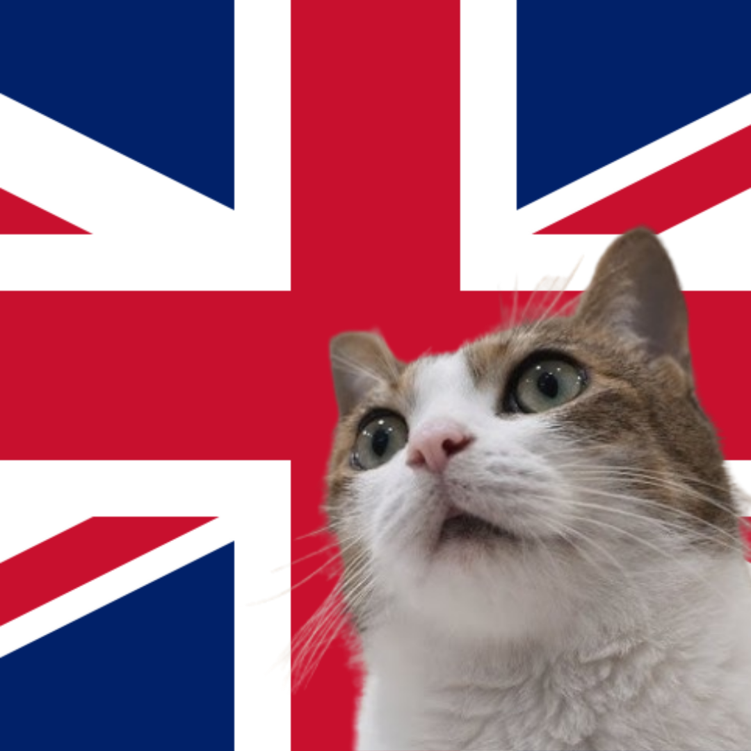 파일:가수저라 연합왕국 정사각형 국기.png