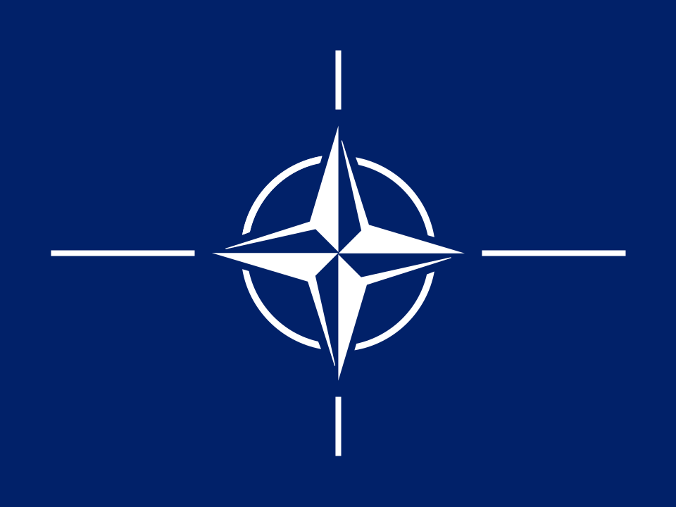 파일:NLTO 깃발.png