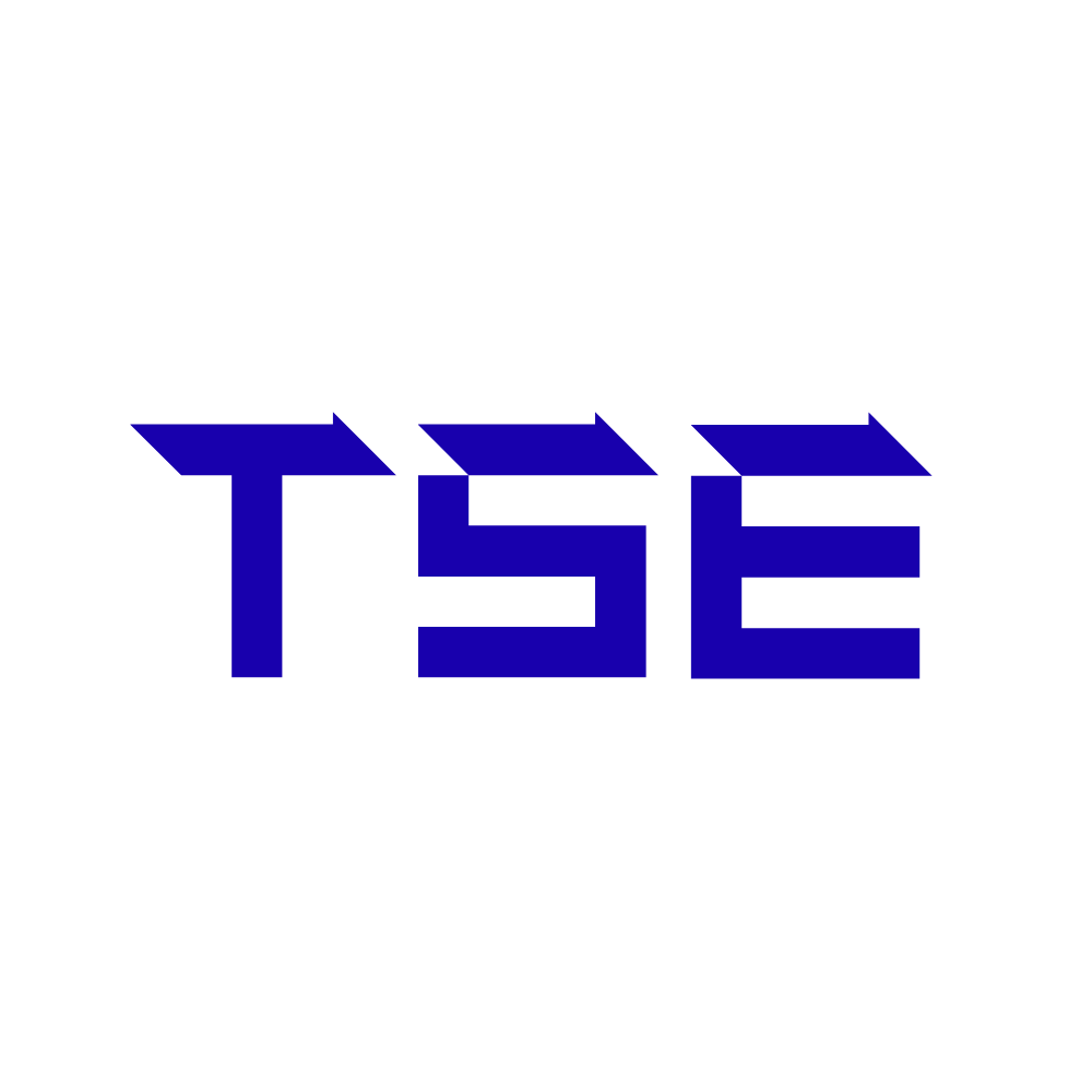 파일:TSE.png